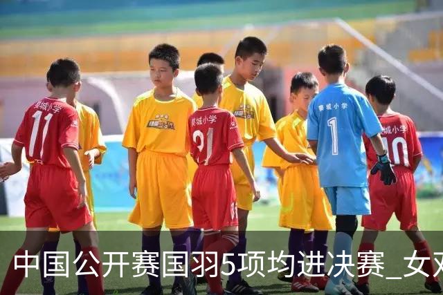中国公开赛国羽5项均进决赛 女双提前包揽冠亚军