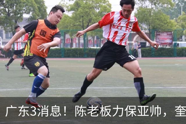 广东3消息！陈老板力保亚帅，奎因或有望回归救火，杜锋爱将再失业