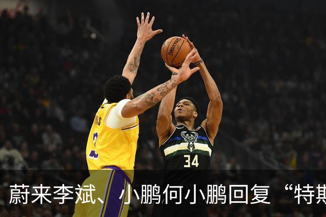 蔚来李斌、小鹏何小鹏回复“特斯拉空中翻滚技术”